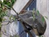 Andalusien_129
